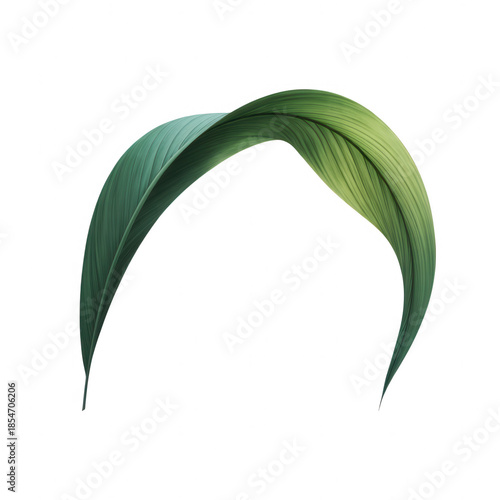 A single curved green palm leaf with subtle light and shadow details against transparent background