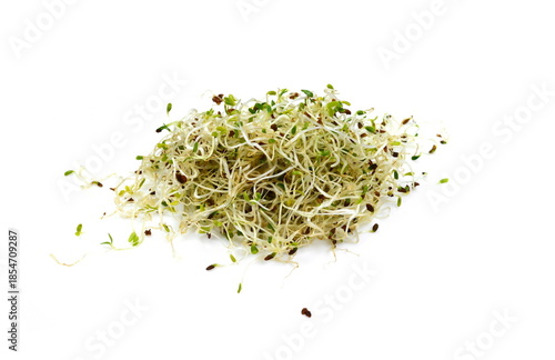 Photos Microgreen sprouts of lucern on white background