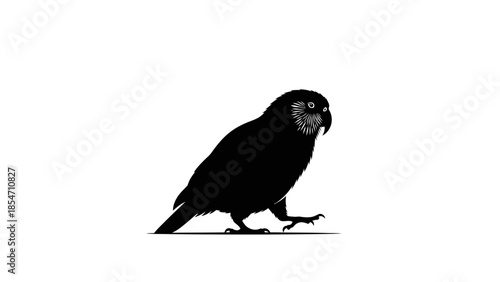 Silhouette of a Walking Owl Isolated on White Background for Design and Decor Owl
