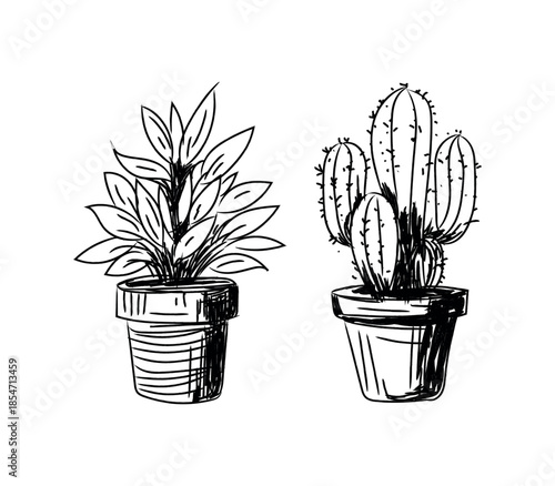 Minimalist black ink doodle illustration of indoor house plants including a leafy succulent and a cactus in pots
