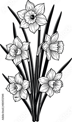 Black and white line art illustration of narcissus daffodils bouquet, spring flowers drawing, floral botanical nature design, garden plant