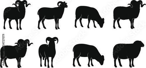 Black ram and sheep silhouettes set isolated on white background, various farm animal poses and horned male sheep vector illustration.