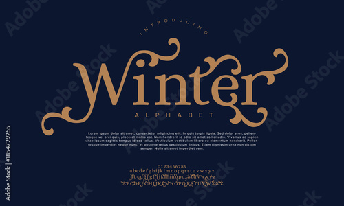 Elegant Font, aesthetic, Uppercase Lowercase and Number. wedding font, Classic Lettering Minimal Fashion Designs. Typography modern serif fonts regular decorative vintage concept. vector illustration