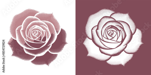 Vintage halftone rose illustration set showing dual color variations of a delicate floral design ideal for retro graphics