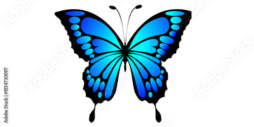Vibrant blue butterfly with black accents on white background