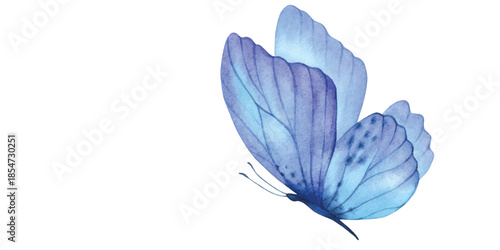 Delicate blue butterfly in flight on white background