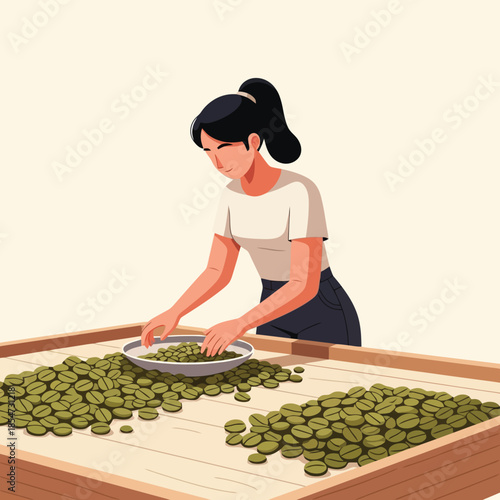 Woman sorting green coffee beans for processing on a wooden tray