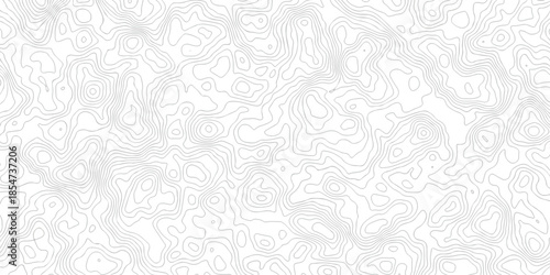 Abstract pattern with lines seamless pattern and topography map and counter map. abstract sea map and mounte map area space geometrics line technology topo landscape grid map texture.