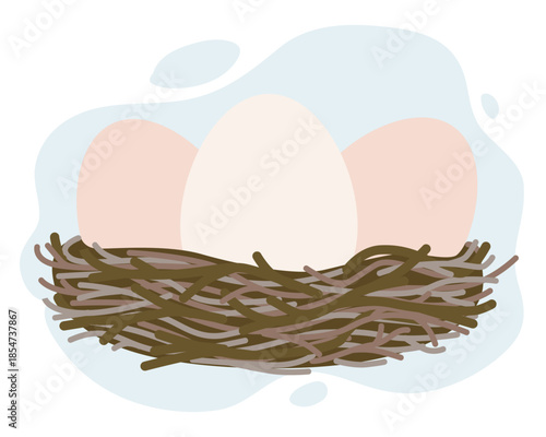 Eggs Resting in Nest Vector Illustration
