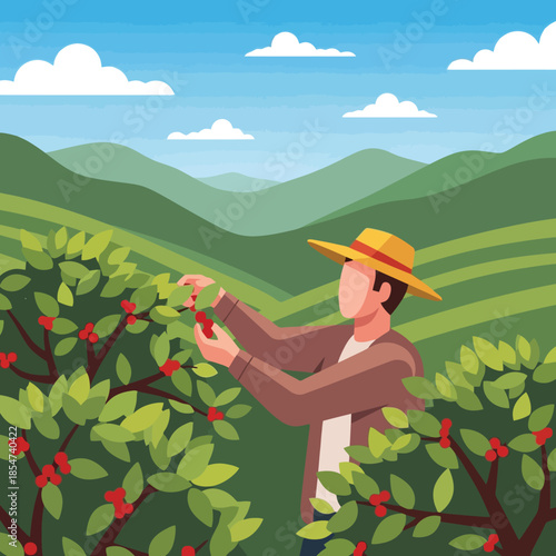 Harvesting fresh coffee beans on a sunny hillside farm illustration