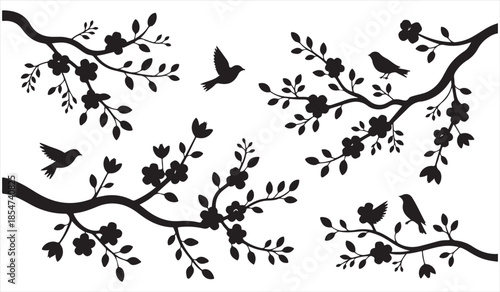 Vector nature illustration of flowering tree branches and birds in simple black silhouettes
