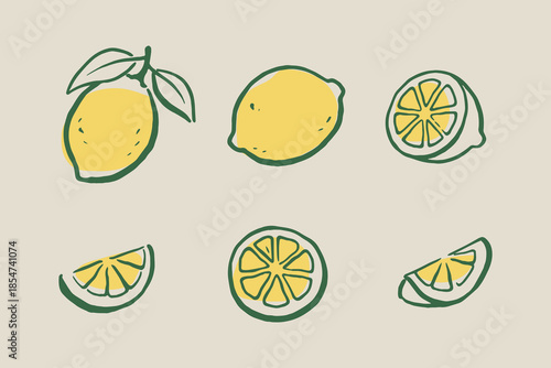 Lemon slices doodle set hand drawn vector illustration