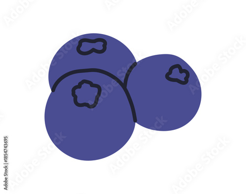 Blueberries fruits set, fresh ripe blue berries and bilberries, natural organic forest food, healthy vitamin nutrition isolated on white background flat vector illustration.