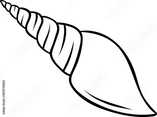 Sketch style seashell in simple black and white line art, doodle illustration of underwater marine life. Minimalist design for nautical and beach themes