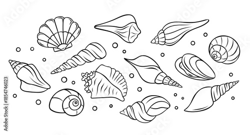 vector set collection of various seashells and underwater marine life depicted as simple black and white icons. Monochrome outline style for aquatic themes