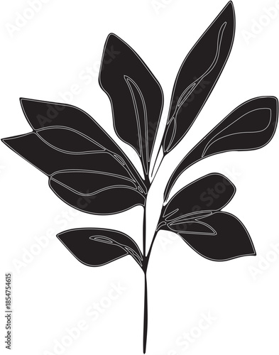 Elegant black and white lily of the valley blossom tucked inside a book featuring a floral spring pattern design with a green leaf sprout representing nature growth and garden life