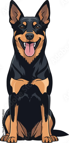 Lancashire Heeler dog sitting relaxed happy panting smiling pose