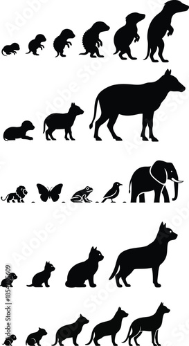 Evolution of species silhouettes from simple to complex life forms