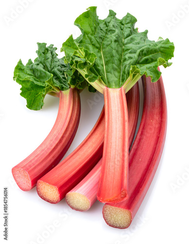Fresh Organic Rhubarb Bundle with Leaves Isolated on White

