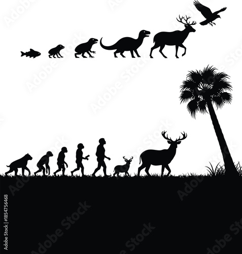 Evolution of life on earth from sea to land silhouette
