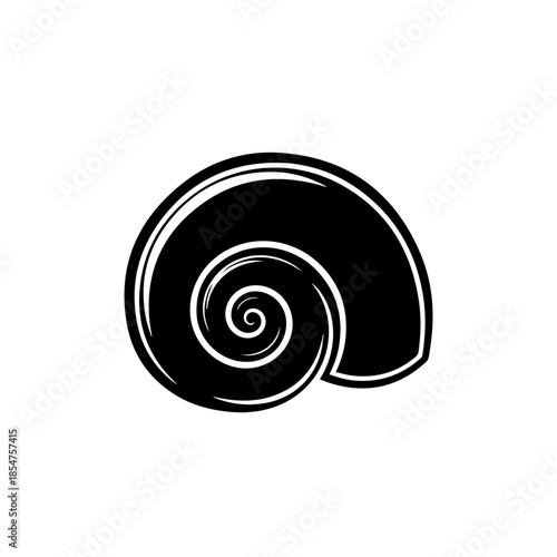 Black and white shell illustration