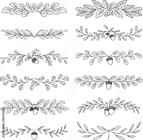Hand drawn botanical oak leaf dividers and autumn acorn branch borders set