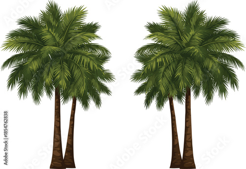 Tropical Green Palm Trees Vector Illustration Isolated on White Background for Summer Vacation Beach Nature Landscape and Exotic Botanical Design