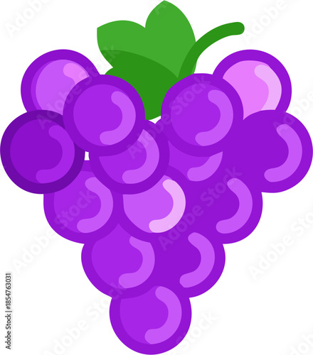 grape vector, illustration