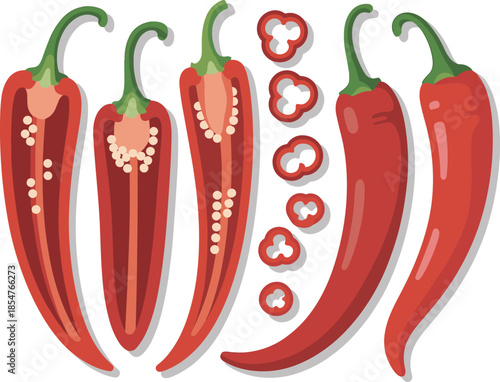 Red Chili Pepper Whole, Halves, and Slices with Seeds Vector Illustration Set