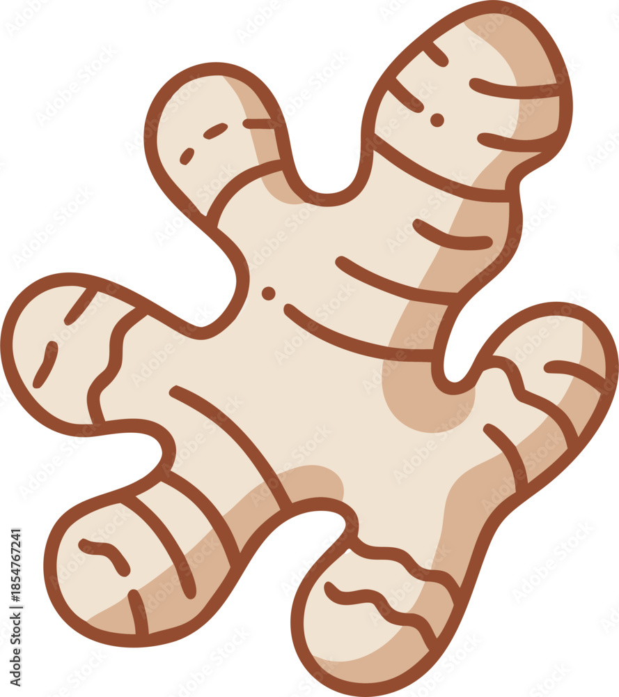 Obraz premium ginger vector illustration