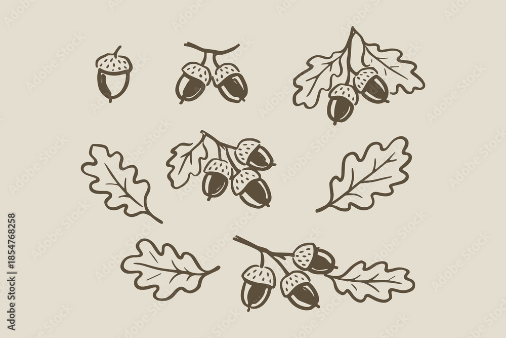 Obraz premium Acorns and oak leaves doodle set vector illustration