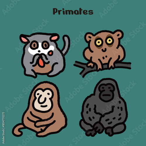Primates Cartoon Animal Illustration Set Featuring Slow Loris and Gorilla