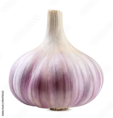 Fresh raw garlic head isolated on transparent. Garlic full macro PNG