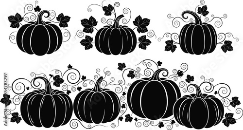 Black pumpkin vector illustration set, autumn harvest vegetable silhouettes with curly vines and leaves, Halloween decorative elements, Thanksgiving seasonal organic squash icons, isolated.