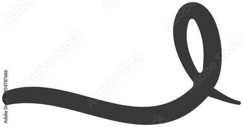 A dark illustration of a single curved line forming a loop on a white background