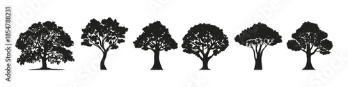 Beautiful set of vector tree silhouette icons illustrations for design.