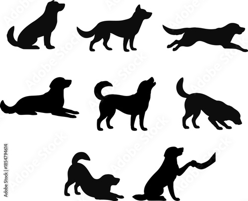 silhouette dog breed postures act black dog breed shapes monochrome color vector