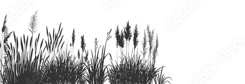 Wild marsh grass serenity.