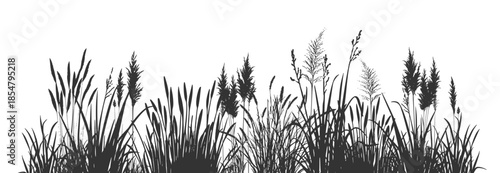 Cattail shadows on silent water.