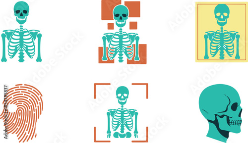 Six flat representing human anatomy skeletal structures fingerprint scanning and medical imaging technology