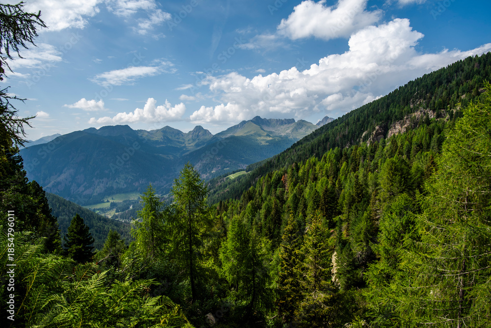 Fototapeta premium 2024 08 16 Pieve Tesino landscape 30.jpg