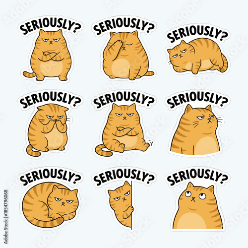 Seriously? Cartoon Cat Sticker Set with Various Grumpy Expressions