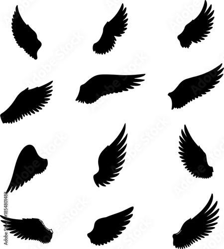 Wing art vectors and Set of black various wings icon silhouette collections