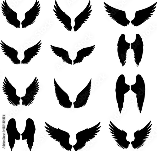 Wing art vectors and Set of black various wings icon silhouette collections