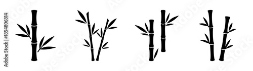 Three bamboo plants in various stages of growth
