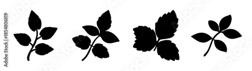 Collection of simple leaves