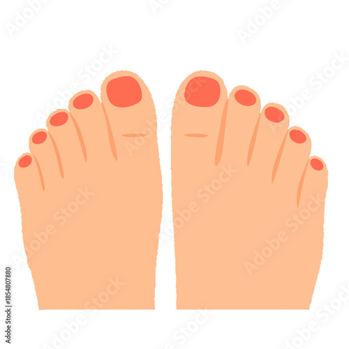 Human feet with red nail polish illustration
