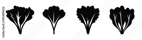 Empty vector file display