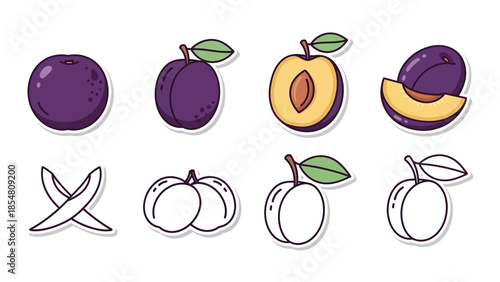 Vector illustration set of whole and cut plums, both in color and outline styles, showing fruit and pit details.