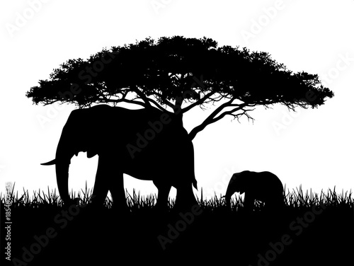 Vector-style silhouette scene of African savanna, large elephant on the left, smaller elephant on the right, both beneath a dense tree canopy, tall grass suggested with jagged lines, high-contrast bla